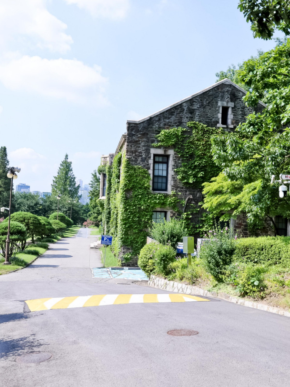 담쟁이 덮인 석조 교사 건물 옆 학교 진입로
